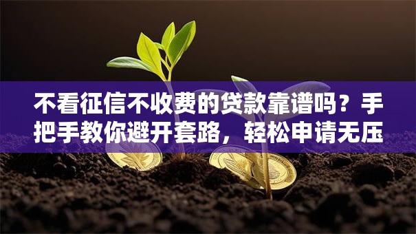 不看征信不收费的贷款靠谱吗?手把手教你避开套路,轻松申请无压力! 不看征信不收费的贷款靠谱吗?手把手教你避开套路,轻松申请无压力!