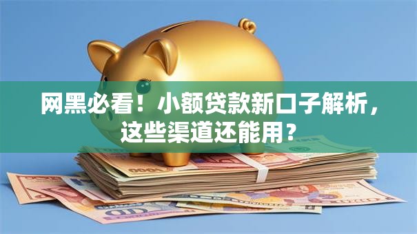 网黑必看!小额贷款新口子解析,这些渠道还能用? 网黑必看!小额贷款新口子解析,这些渠道还能用?