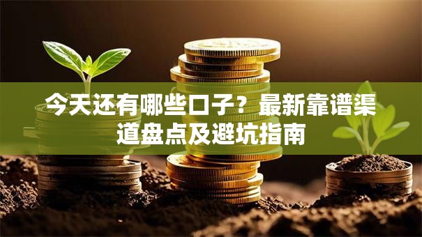 今天还有哪些口子？最新靠谱渠道盘点及避坑指南