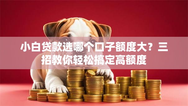 小白贷款选哪个口子额度大?三招教你轻松搞定高额度 小白贷款选哪个口子额度大?三招教你轻松搞定高额度