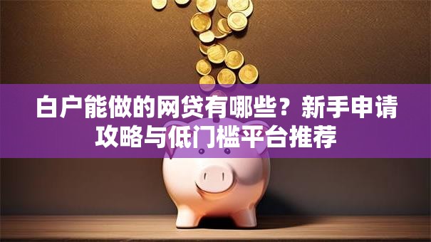白户能做的网贷有哪些?新手申请攻略与低门槛平台推荐 白户能做的网贷有哪些?新手申请攻略与低门槛平台推荐