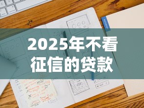 2025年不看征信的贷款平台有哪些?这几类渠道值得关注 2025年不看征信的贷款平台有哪些?这几类渠道值得关注