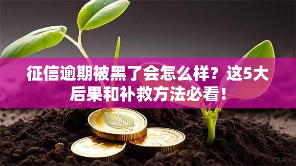 征信逾期被黑了会怎么样？这5大后果和补救方法必看！