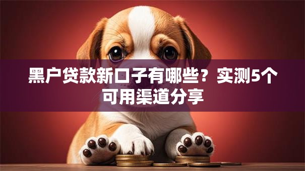 黑户贷款新口子有哪些?实测5个可用渠道分享 黑户贷款新口子有哪些?实测5个可用渠道分享