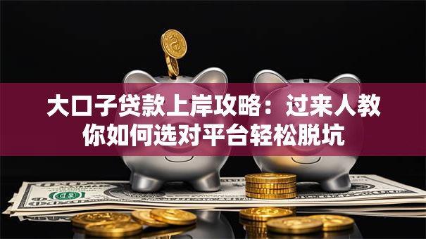 大口子贷款上岸攻略：过来人教你如何选对平台轻松脱坑