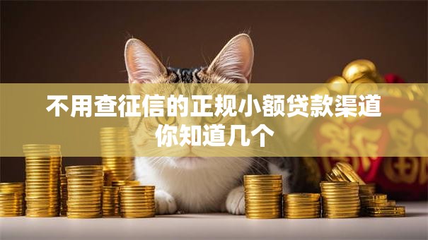 不用查征信的正规小额贷款渠道你知道几个