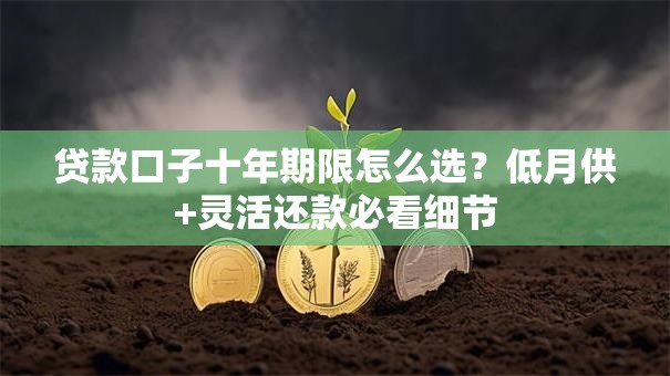 贷款口子十年期限怎么选？低月供+灵活还款必看细节