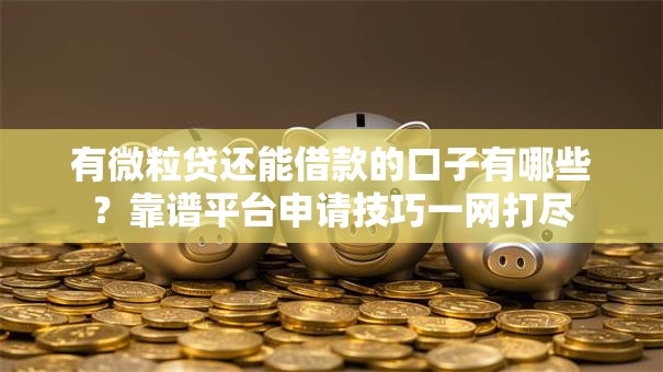 有微粒贷还能借款的口子有哪些？靠谱平台申请技巧一网打尽