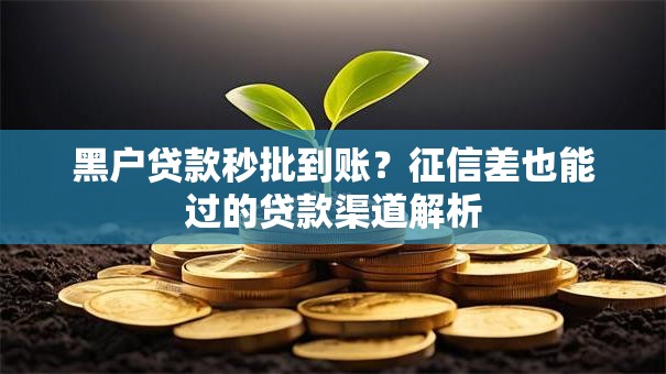 黑户贷款秒批到账？征信差也能过的贷款渠道解析