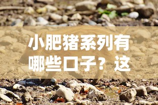 小肥猪系列有哪些口子？这些平台资质靠谱吗