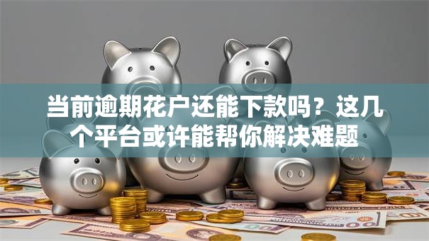 当前逾期花户还能下款吗？这几个平台或许能帮你解决难题