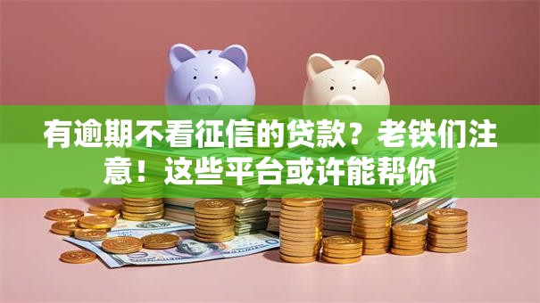 有逾期不看征信的贷款？老铁们注意！这些平台或许能帮你