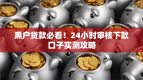 黑户贷款必看！24小时审核下款口子实测攻略