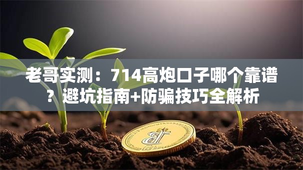 老哥实测：714高炮口子哪个靠谱？避坑指南+防骗技巧全解析