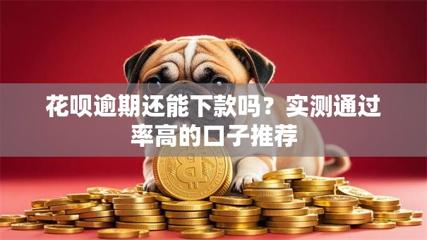 花呗逾期还能下款吗？实测通过率高的口子推荐