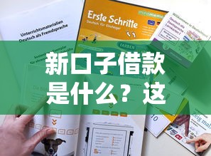 新口子借款是什么？这些隐藏风险和使用技巧必须知道