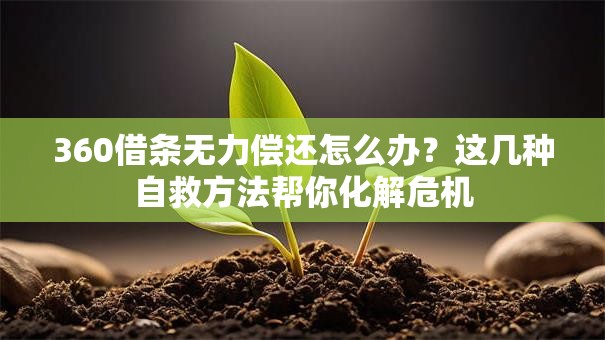 360借条无力偿还怎么办？这几种自救方法帮你化解危机