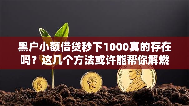 黑户小额借贷秒下1000真的存在吗？这几个方法或许能帮你解燃眉之急