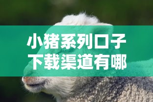 小猪系列口子下载渠道有哪些?实测5款靠谱平台推荐 小猪系列口子下载渠道有哪些?实测5款靠谱平台推荐