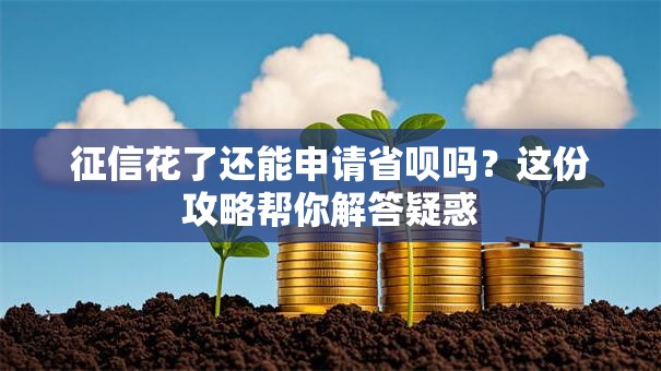 征信花了还能申请省呗吗？这份攻略帮你解答疑惑