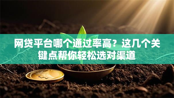 网贷平台哪个通过率高？这几个关键点帮你轻松选对渠道