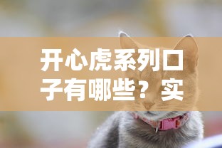 开心虎系列口子有哪些？实测这几款最靠谱！