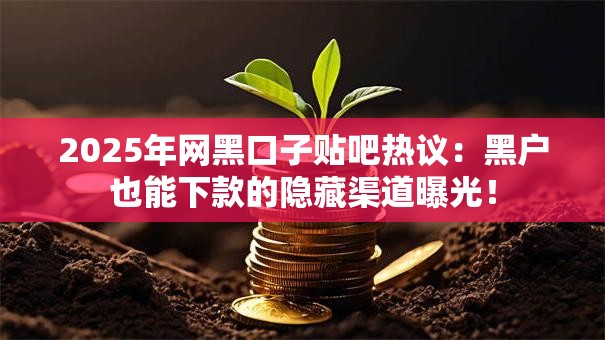 2025年网黑口子贴吧热议：黑户也能下款的隐藏渠道曝光！
