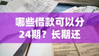 哪些借款可以分24期？长期还款方案及产品推荐