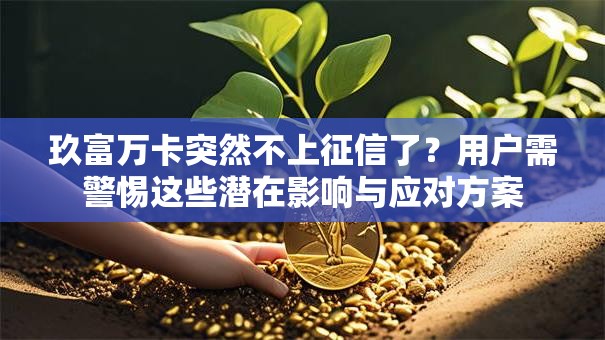 玖富万卡突然不上征信了？用户需警惕这些潜在影响与应对方案
