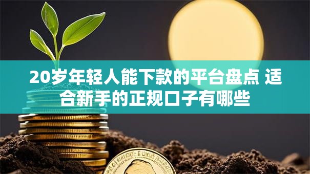 20岁年轻人能下款的平台盘点 适合新手的正规口子有哪些