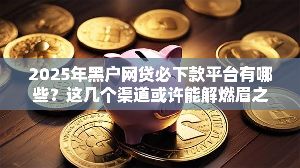 2025年黑户网贷必下款平台有哪些？这几个渠道或许能解燃眉之急