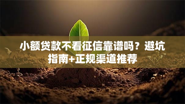 小额贷款不看征信靠谱吗？避坑指南+正规渠道推荐