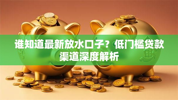 谁知道最新放水口子？低门槛贷款渠道深度解析