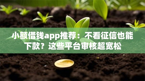 小额借钱app推荐:不看征信也能下款?这些平台审核超宽松 小额借钱app推荐:不看征信也能下款?这些平台审核超宽松