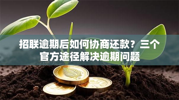 招联逾期后如何协商还款?三个官方途径解决逾期问题 招联逾期后如何协商还款?三个官方途径解决逾期问题