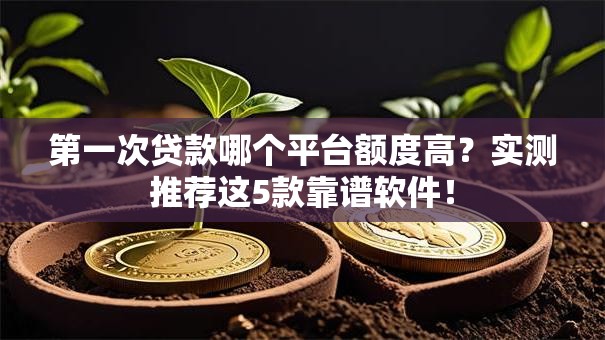 第一次贷款哪个平台额度高?实测推荐这5款靠谱软件! 第一次贷款哪个平台额度高?实测推荐这5款靠谱软件!