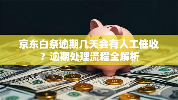 京东白条逾期几天会有人工催收？逾期处理流程全解析