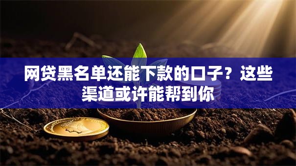 网贷黑名单还能下款的口子?这些渠道或许能帮到你 网贷黑名单还能下款的口子?这些渠道或许能帮到你