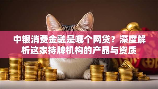 中银消费金融是哪个网贷？深度解析这家持牌机构的产品与资质
