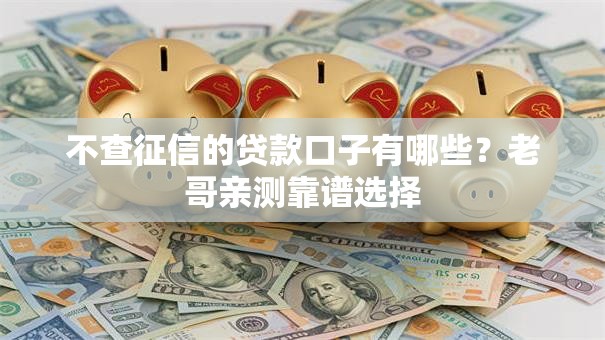 不查征信的贷款口子有哪些？老哥亲测靠谱选择