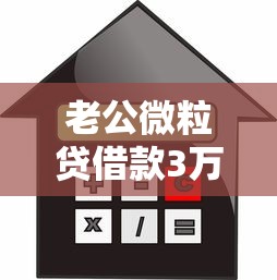 老公微粒贷借款3万多后续处理方案及信用管理指南 老公微粒贷借款3万多后续处理方案及信用管理指南