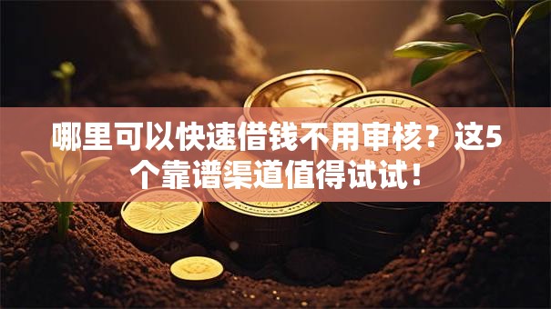哪里可以快速借钱不用审核？这5个靠谱渠道值得试试！