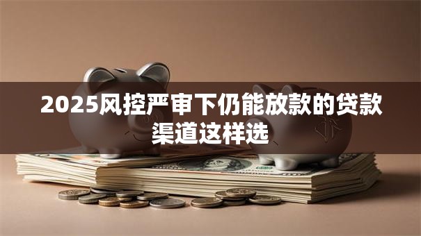 2025风控严审下仍能放款的贷款渠道这样选