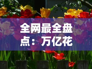 全网最全盘点：万亿花系列口子有哪些？这些平台靠谱又实用！