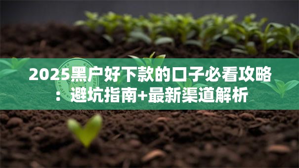 2025黑户好下款的口子必看攻略：避坑指南+最新渠道解析