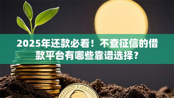2025年还款必看!不查征信的借款平台有哪些靠谱选择? 2025年还款必看!不查征信的借款平台有哪些靠谱选择?