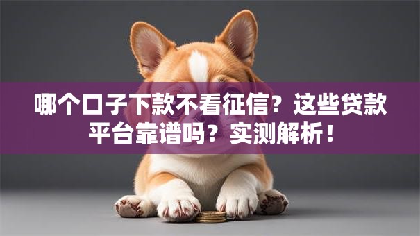 哪个口子下款不看征信?这些贷款平台靠谱吗?实测解析! 哪个口子下款不看征信?这些贷款平台靠谱吗?实测解析!