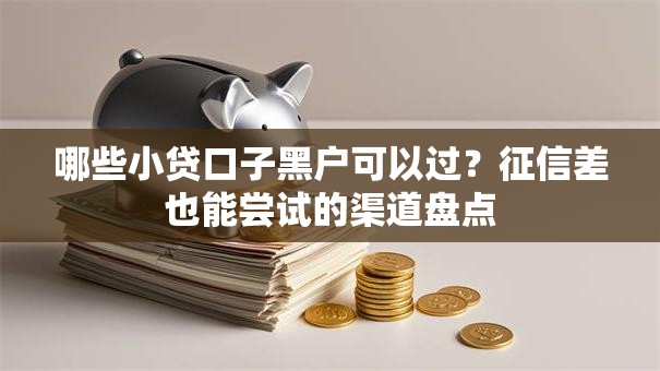 哪些小贷口子黑户可以过？征信差也能尝试的渠道盘点