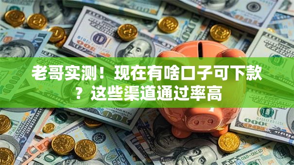 老哥实测！现在有啥口子可下款？这些渠道通过率高