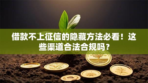 借款不上征信的隐藏方法必看！这些渠道合法合规吗？